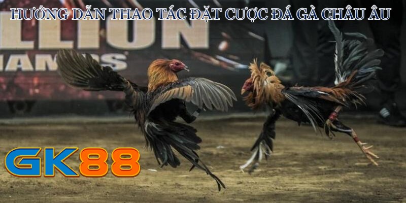 huong-dan-thao-tac-dat-cuoc-da-ga-chau-au