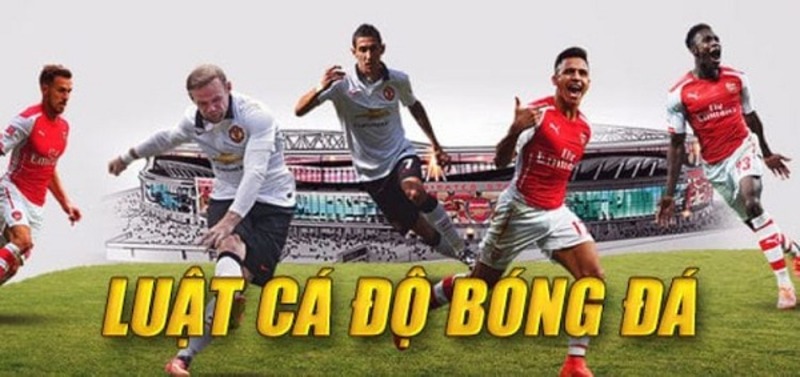 luat-ca-do-bong-da