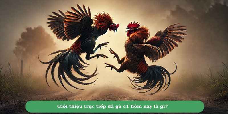 truc-tiep-da-ga-c1-hom-nay