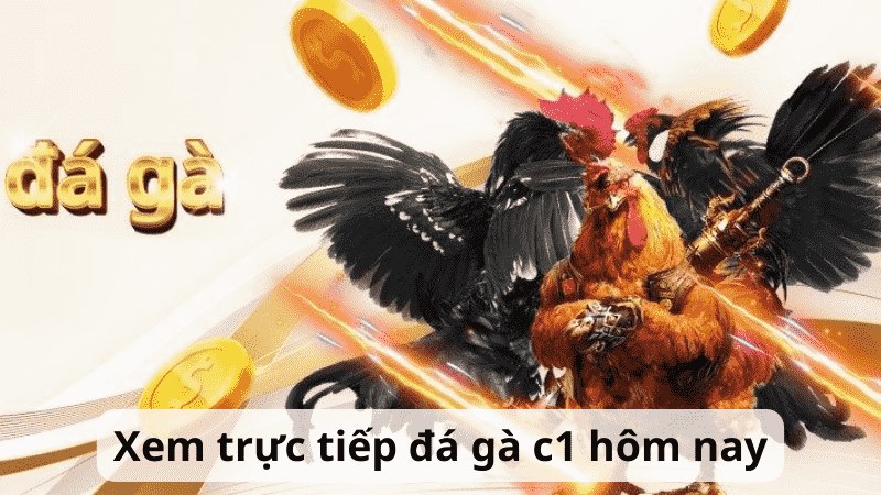 xem truc-tiep-da-ga-c1-hom-nay