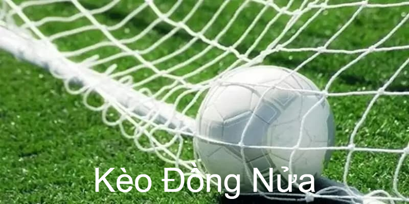 keo-dong-nua-la-gi